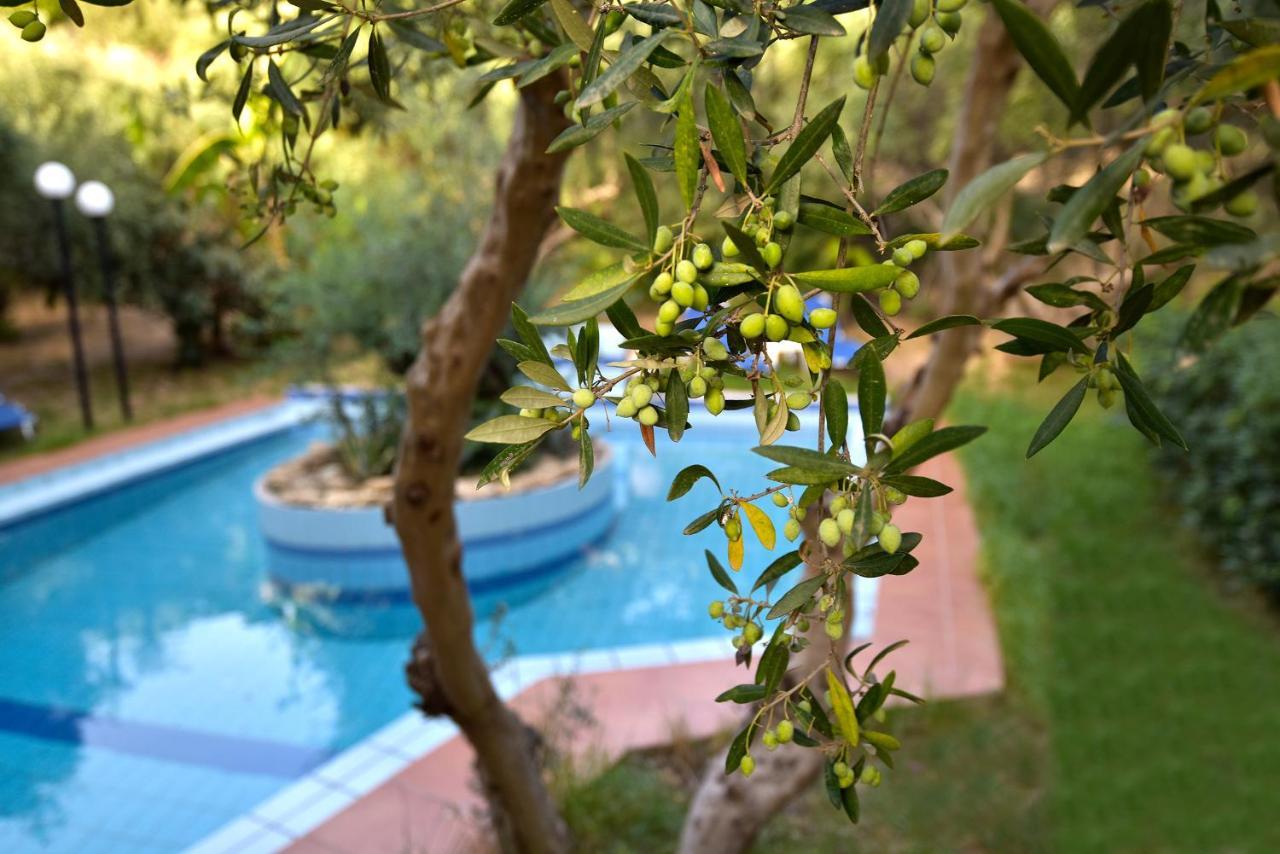 Villa Olive Farm Agia Marina Esterno foto