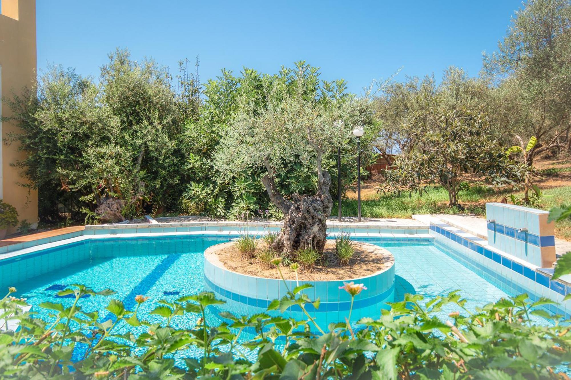 Villa Olive Farm Agia Marina Esterno foto