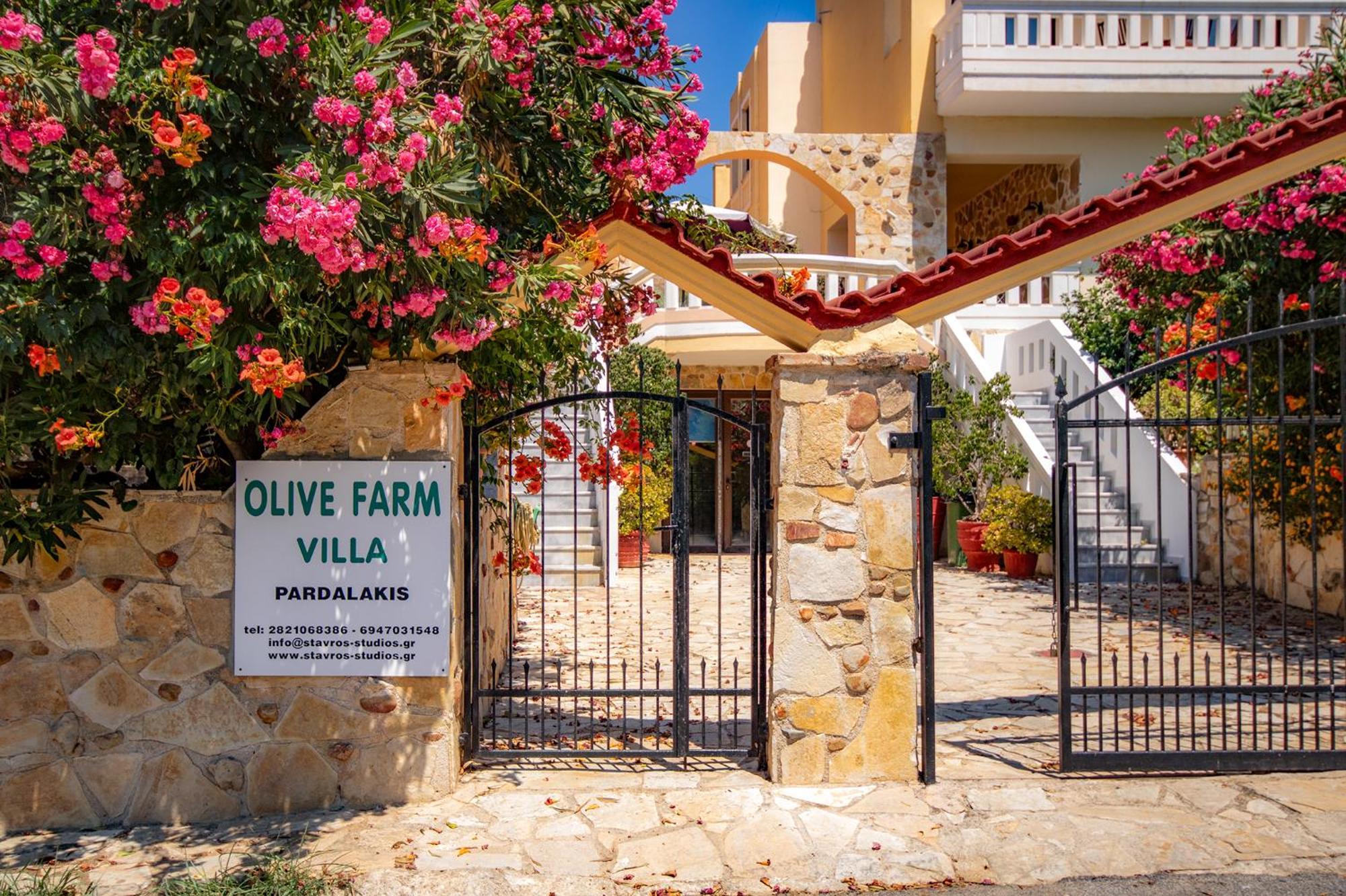 Villa Olive Farm Agia Marina Esterno foto